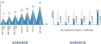 成都软件技术专修学院物联网应用技术专业