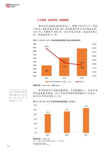 2018年金砖国家电子商务发展报告