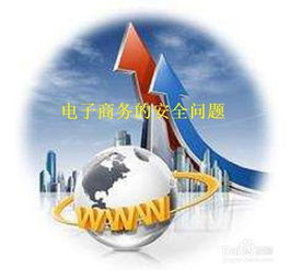 电子商务的安全问题