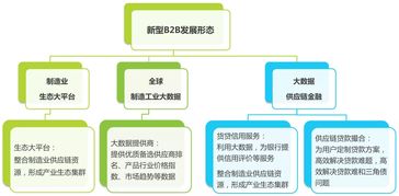 2016年中国B2B电子商务行业研究报告 电子商务运营分析
