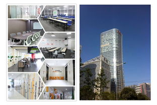 电子商务运营研究 基于看准网平台的深度分析