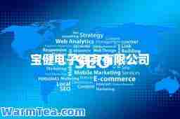 宝健电子商务 电子商务技术的创新与实践